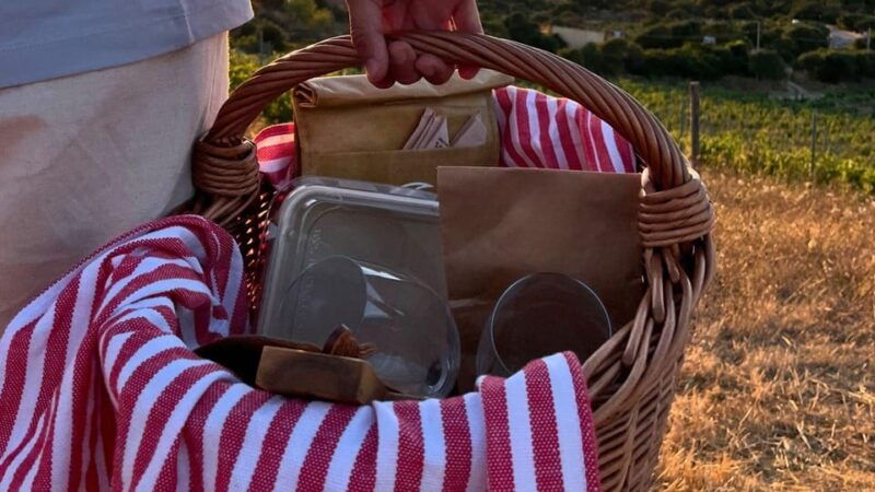 palau-picnic-in-a-gallura-estate