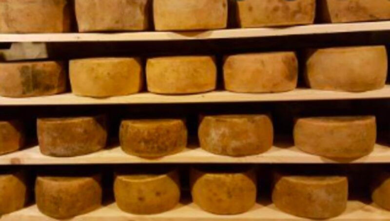 palazzolo-acreide-ricotta-cheese-and-farm-tour-with-tasting