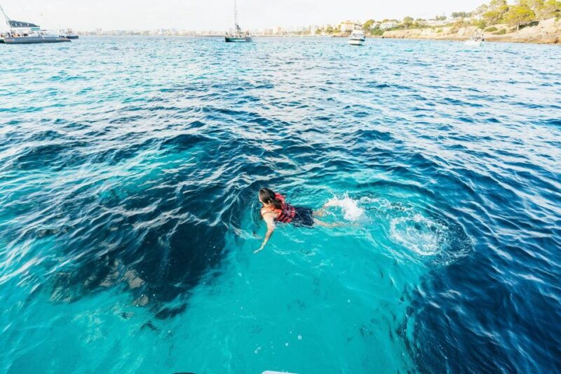 palma-bay-speedboat-discovery-tour
