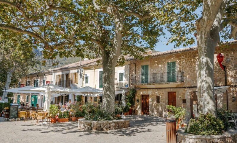 palma-de-mallorca-son-juliana-wine-experience-and-tasting