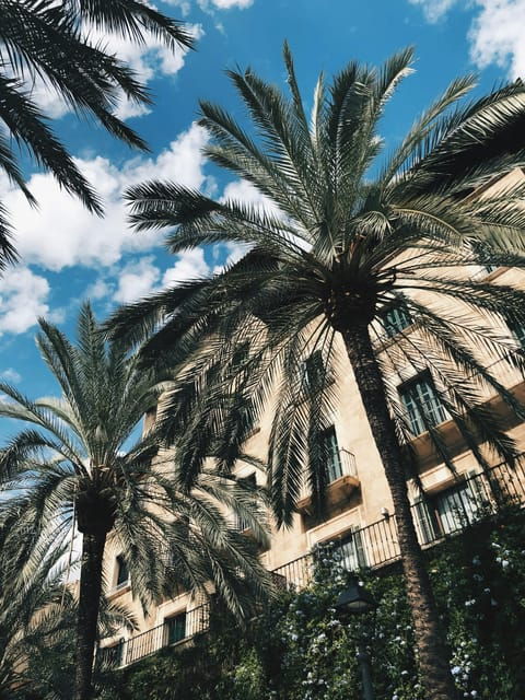 palma-history-beauty-eco-friendly-e-scooter-tour