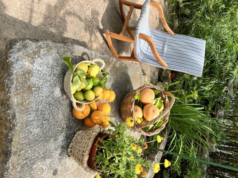 palma-orange-farm-olive-mill-winery-tour-with-tastings