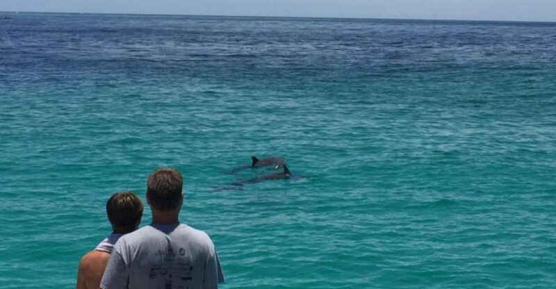 panama-city-beach-dolphin-sightseeing-sail-on-the-footloose