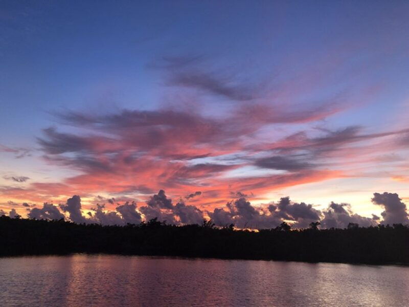 panama-city-sunset-dolphin-cruise-in-st-andrews-bay