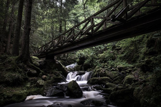 panorama-hike-through-the-black-forest-guided-by-a-local