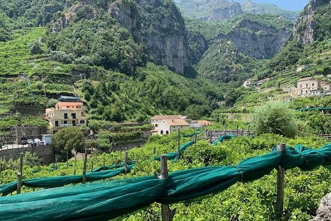 papermills-valley-including-ravello-and-amalfi
