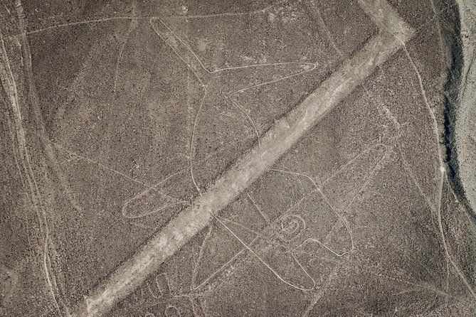 paracas-shore-excursion-nazca-lines-tour