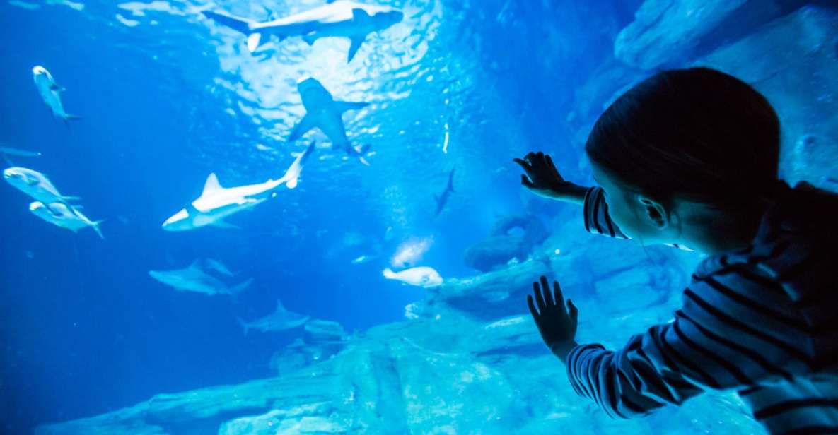 paris-aquarium-de-paris-entrance-ticket
