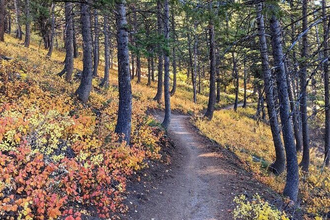 park-city-hiking-activity-with-local-guide