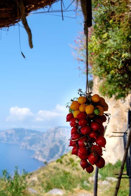 path-of-the-gods-from-sorrento-with-a-local-guide