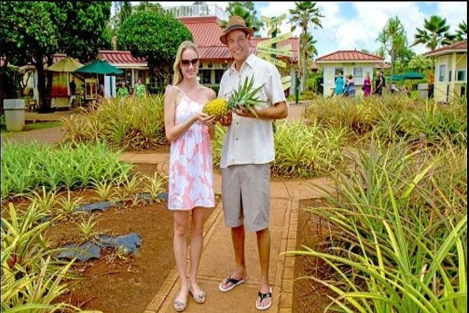 pearl-harbor-dole-plantation-polynesian-center-from-kauai-2