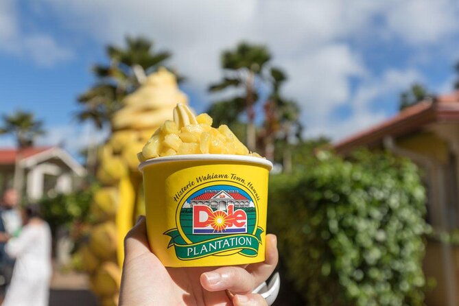 pearl-harbor-dole-plantation-polynesian-center-from-kauai