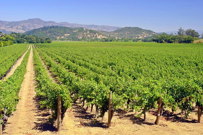 peles-royal-castle-wine-tasting-9-hours