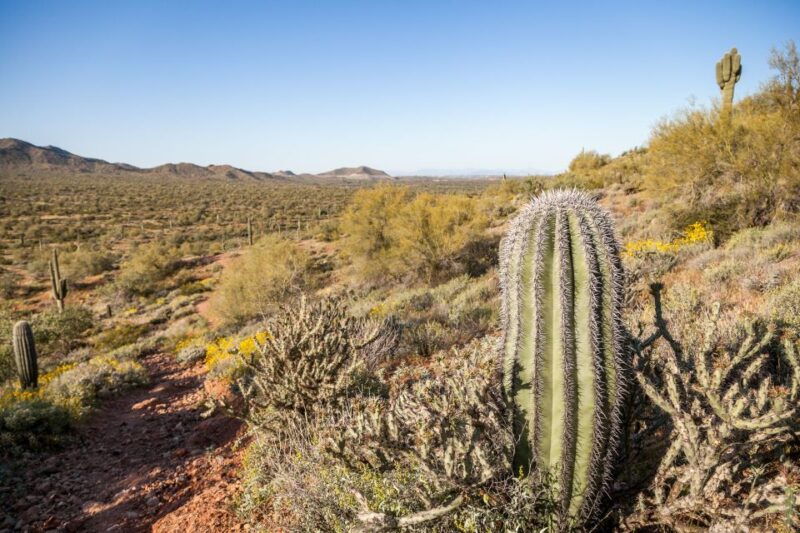 phoenix-scottsdale-apache-trail-tour-canyon-lake-cruise
