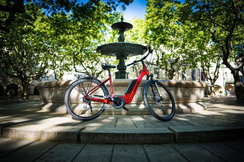 picnic-in-the-middle-of-a-vineyard-by-e-bike
