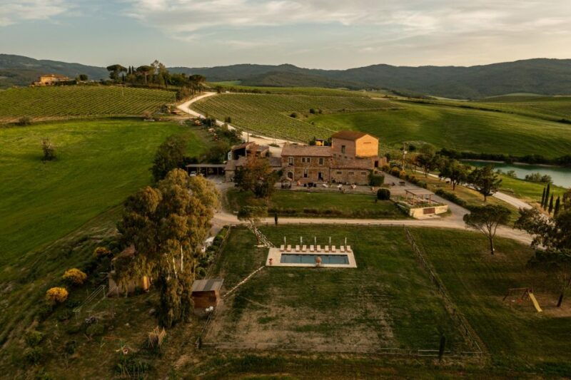 picnic-in-vineyards-with-bottle-of-brunello-di-montalcino