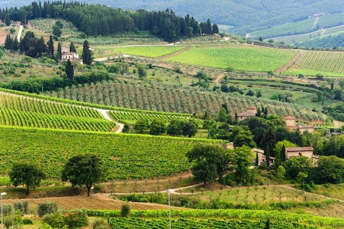pisa-san-gimignano-and-chianti