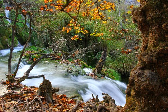 plitvice-lakes-best-of-tour