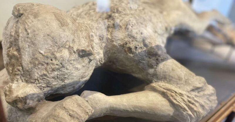 pompeii-guided-tour-with-archaeologist-with-max-12-people