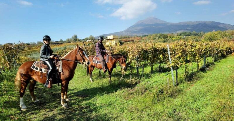 pompeii-ruins-tour-and-mount-vesuvius-horseback-ride
