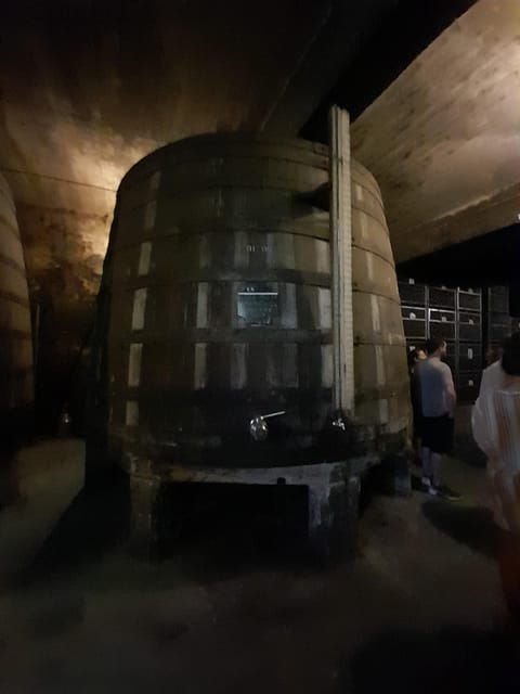porto-to-douro-better-experience-wine-and-portuguese-food
