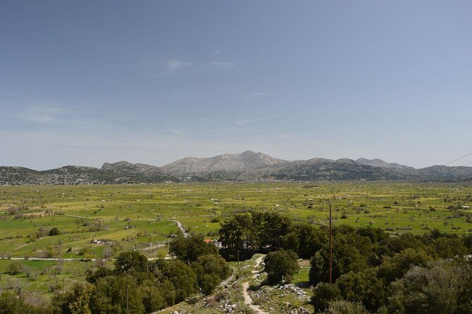 premium-off-road-tour-to-lasithi-plateau-olive-oil-tasting