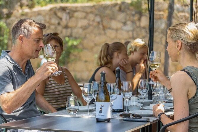 premium-private-douro-tour-2-wineries-with-tastings-cruise