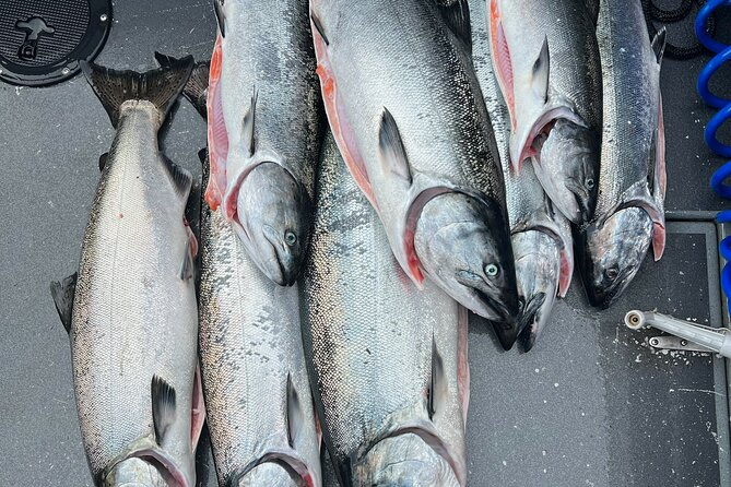 premium-salmon-fishing-6-hours-for-cruise-ship-guests