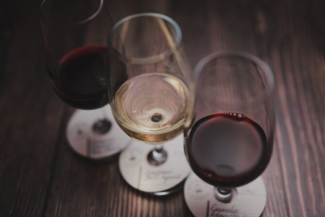 premium-wine-tasting-in-santiago-de-chile