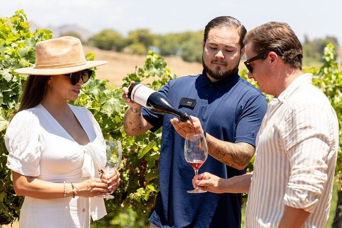 private-all-inclusive-3-winery-tour-from-paso-robles-atascadero