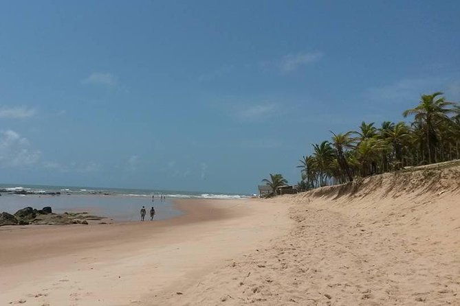 private-beach-buggy-tour-praia-do-forte-by-emytour
