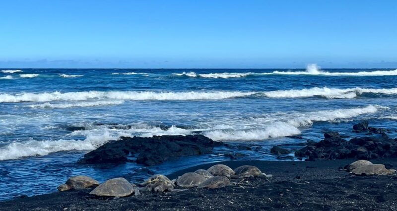 private-big-island-tourcoffee-beachesvolcanos-waterfall