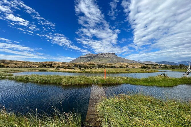 private-bird-watching-experience-in-cerro-castillo