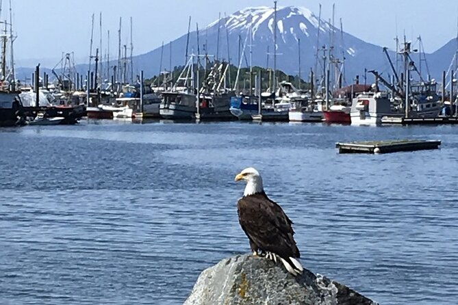 private-charter-scenic-sea-bird-excursion-for-cruise-passengers