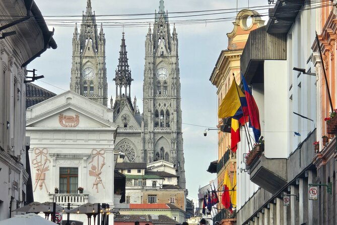private-cloud-forest-hummingbird-feeders-and-quito-old-town-tour