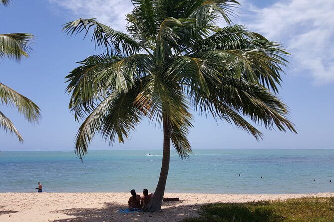 private-coconut-coast-praia-do-forte-tour-from-salvador
