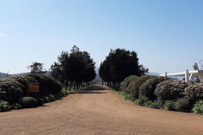 private-colchagua-valley-wine-tour-all-inclusive-from-santiago