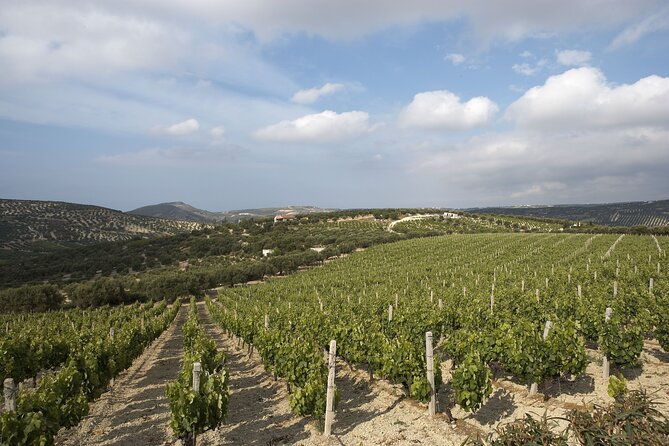 private-cretan-gastronomic-experience-winery-visit-with-tastings-cooking-class