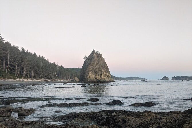 private-day-hike-rialto-beach-tide-pooling