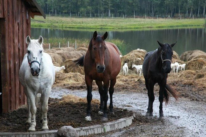 private-day-tour-from-vilnius-to-goat-cheese-farm-and-kernave-historical-capital