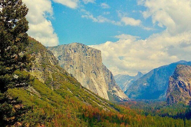 private-day-tour-to-yosemite-national-park