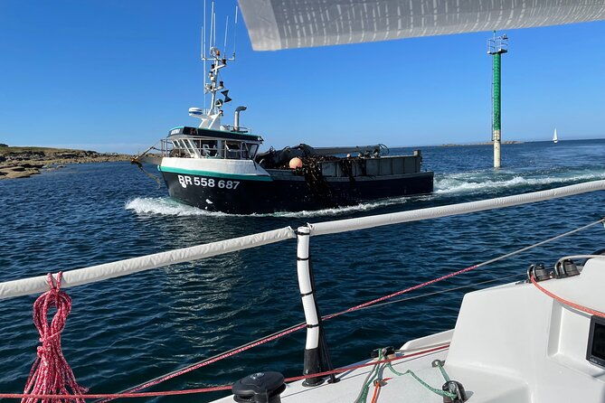 private-day-trip-at-sea-sailing