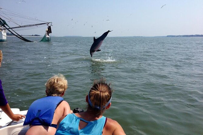 private-dolphin-and-nature-tour-of-hilton-head