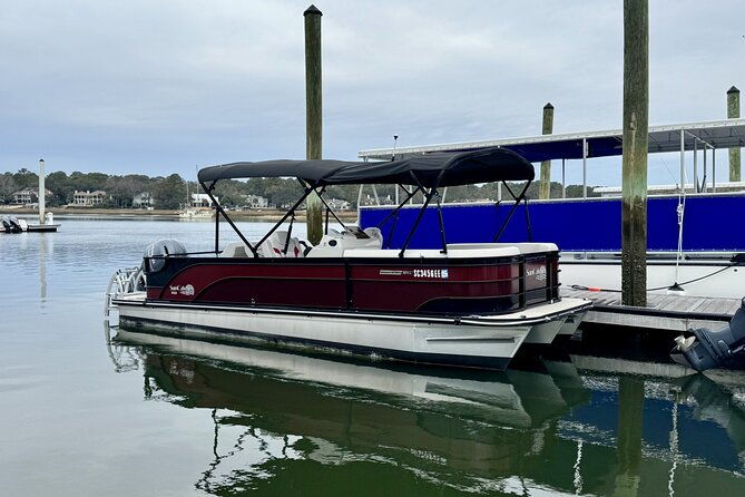 private-dolphins-and-daufuskie-island-stop-tour
