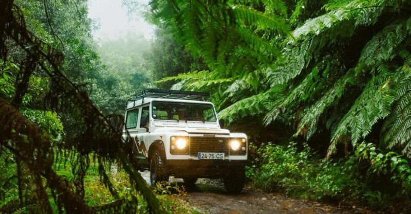 private-east-4x4-tour-pico-do-areeiro-santana-typical-houses