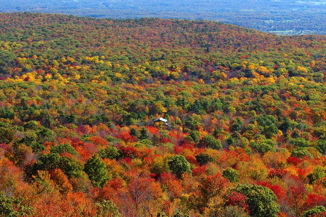 private-fall-foliage-helicopter-tour-for-2-6-from-westchester