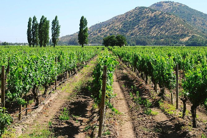 private-full-day-city-tour-of-santiago-with-wine-experience