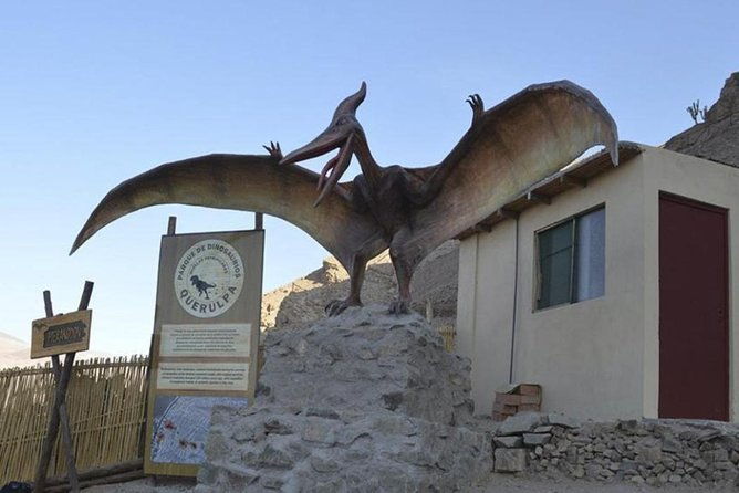 private-full-day-majes-toro-muerto-and-dinosaur-footprints-from-arequipa