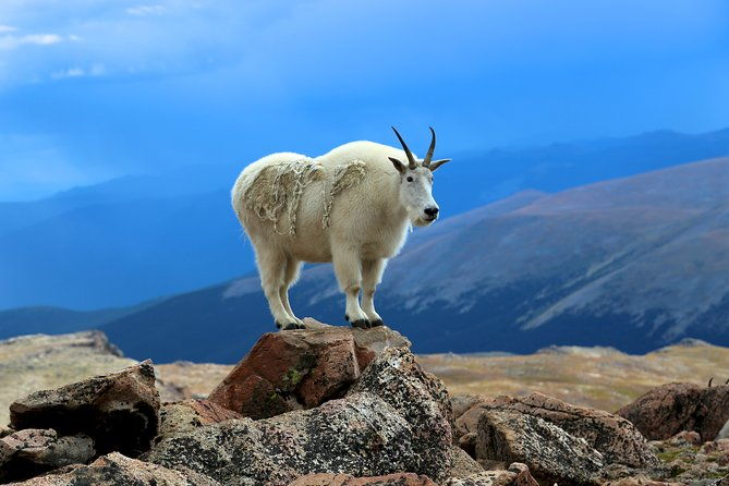 private-full-day-mount-blue-sky-red-rocks-tour-from-denver