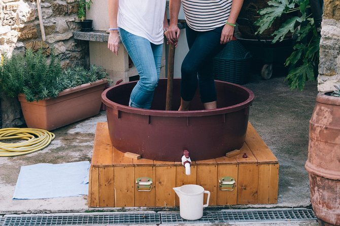 private-grape-stomping-in-chianti-from-siena